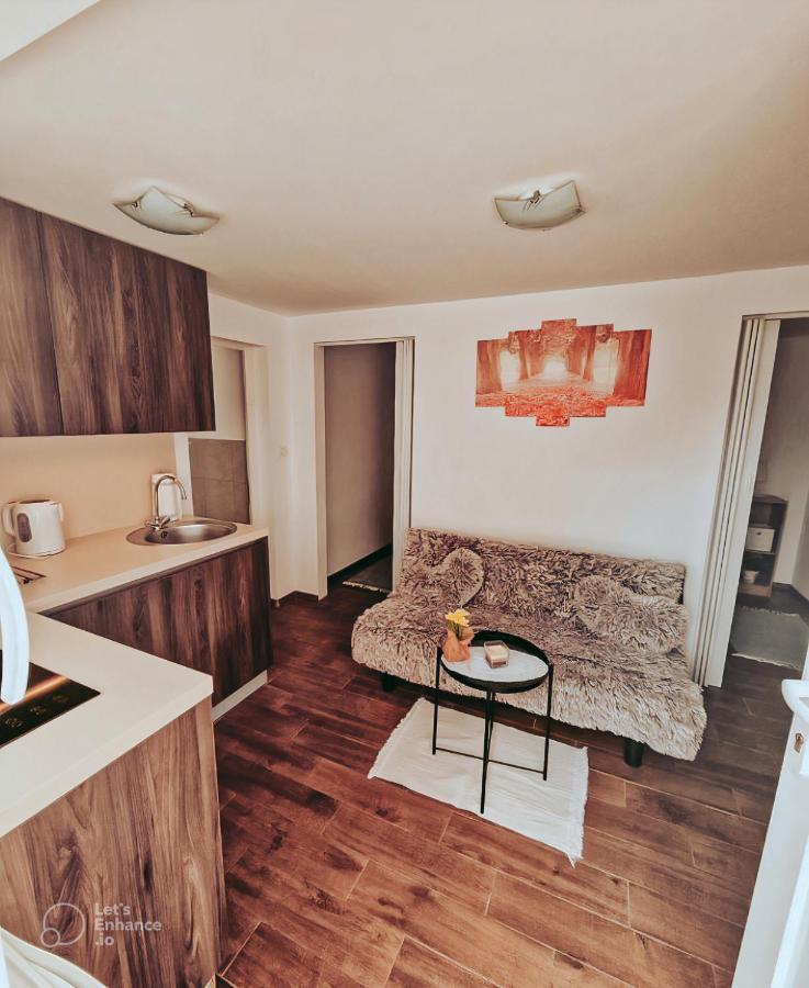 Apartments Ivanovic Idrija Esterno foto